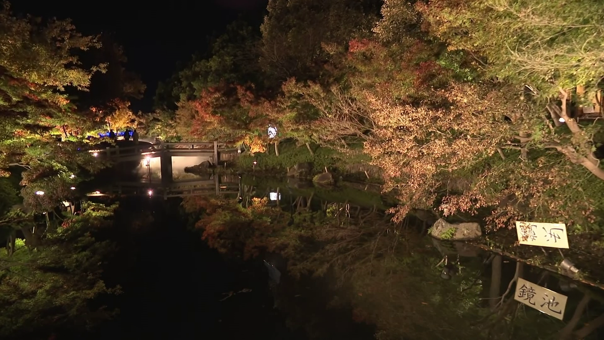 水面に映るライトアップされた「鏡池」