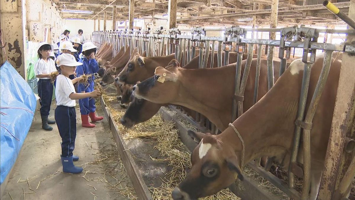 牛に餌やり｢牧場体験｣　フローズンヨーグルト作りも　岐阜・飛騨市