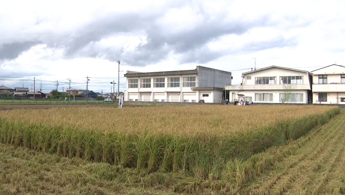 秋になり、収穫の時期を迎えた田んぼ