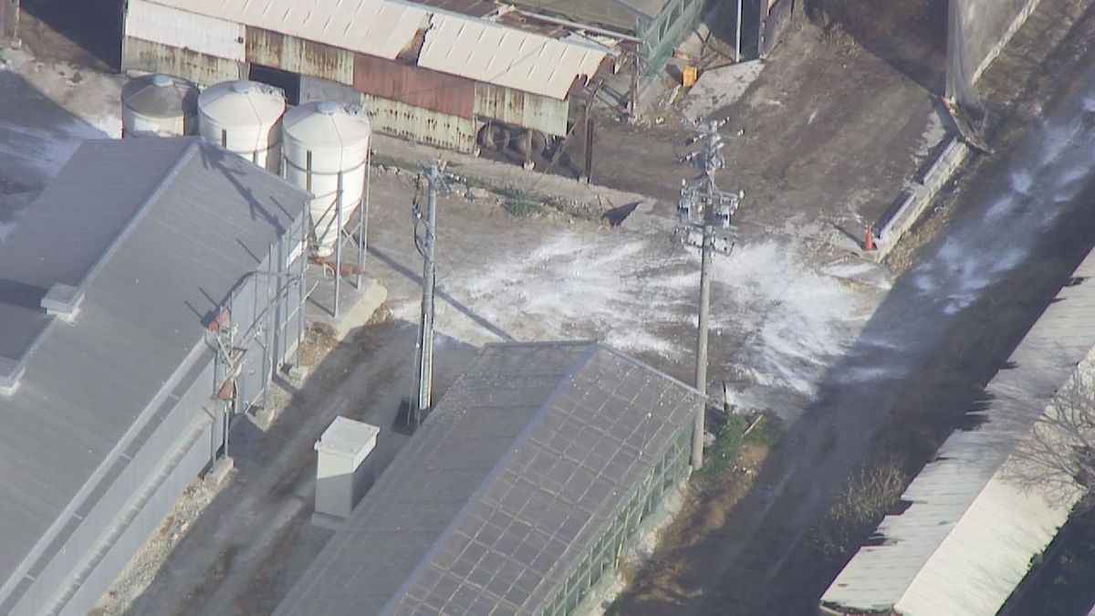 愛知では2022年以来　養鶏場で鳥インフル確認　県は殺処分を進める