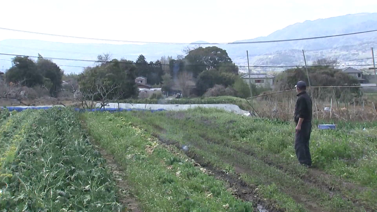 爆竹を鳴らしても効果はなく…