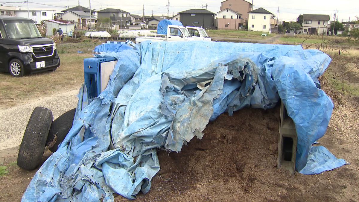 盗まれた盆栽が見つかった一宮市の畑