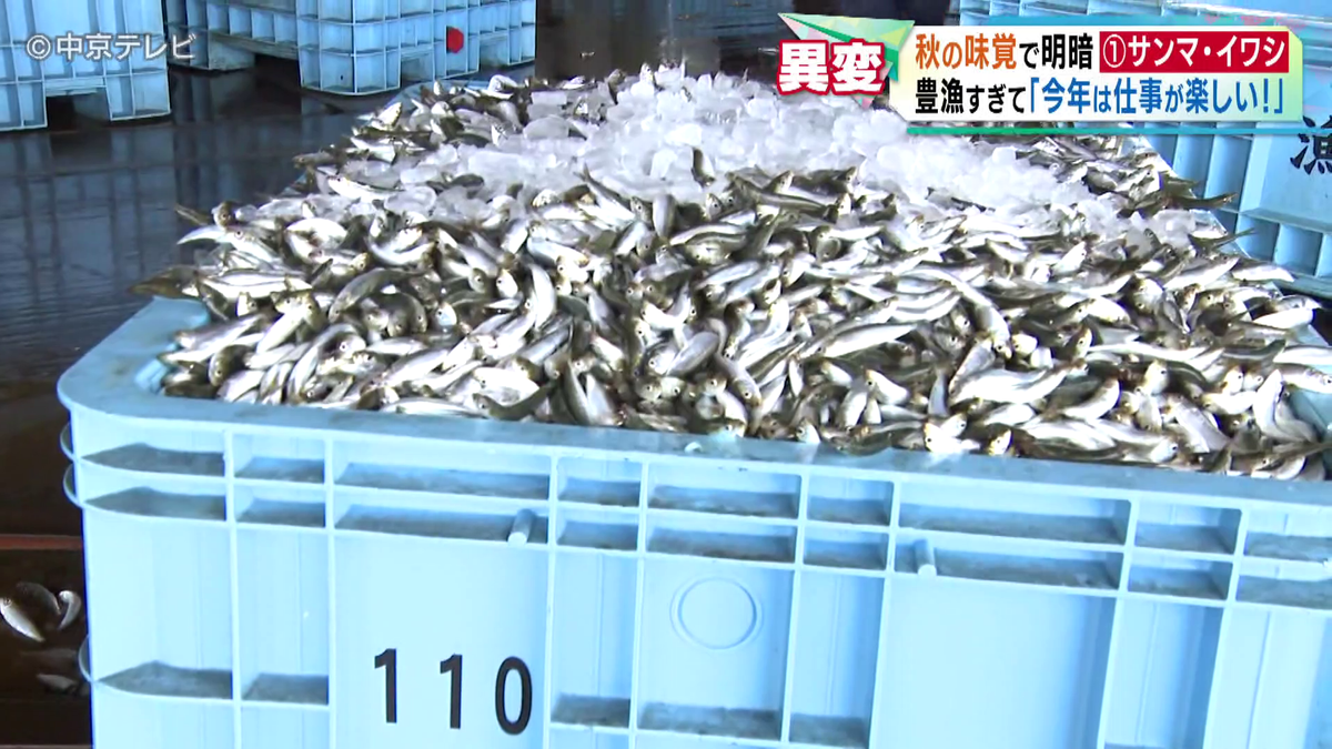 サンマとイワシが異例の豊漁 その一方で松茸はまさかの事態！？ 秋の