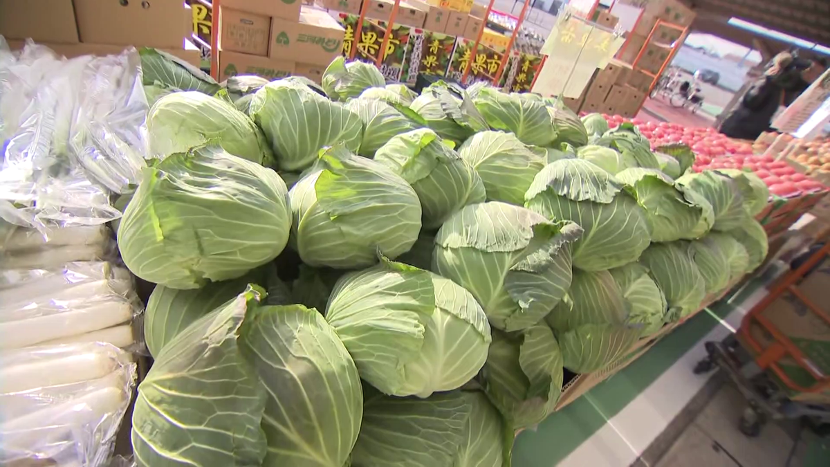 野菜19種類が詰め放題540円!キャベツは1回1玉限定、大手スーパーが赤字覚悟で実施を決めた理由とは?「お客さまに楽しんでいただいて、お店に来てほしい」(2025年2月20日掲載)|中京テレビNEWS NNN 野菜19種類が詰め放題540円!キャベツは1回1玉限定、大手スーパーが赤字覚悟で実施を決めた理由とは?「お客さまに楽しんでいただいて、お店に来てほしい」(2025年2月20日掲載)|中京テレビNEWS NNN