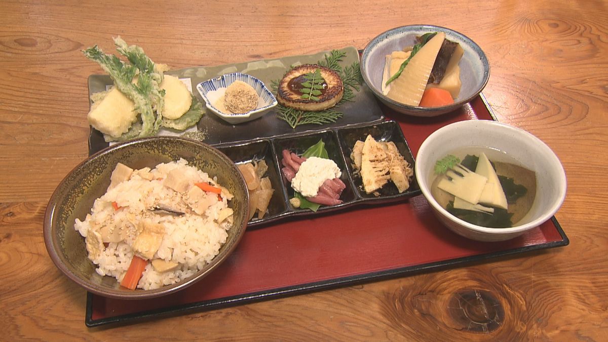 今が旬です「たけのこ御膳」 豪華9品セットで味わう“春” 越前町の特産 