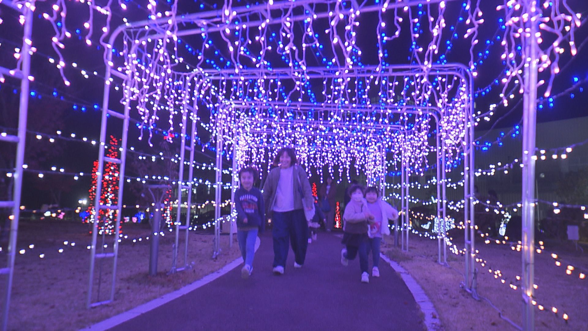 トンネルがきれい」クリスマスムード漂う幻想的なイルミネーション