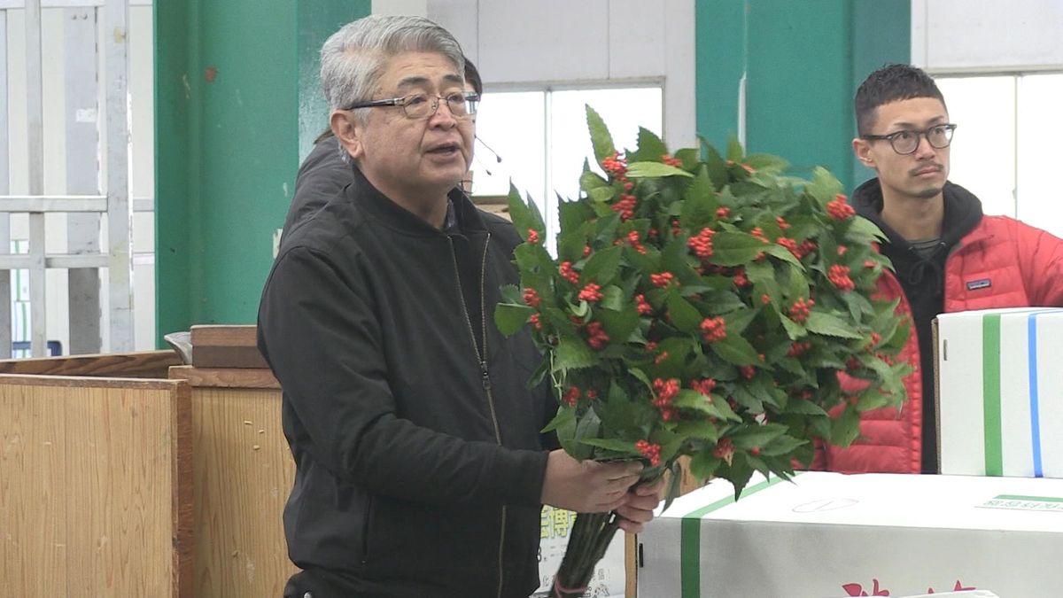 千両市でセンリョウ競り落とす 実り多き年への願い込め 正月飾りの縁起物 福井市中央卸売市場