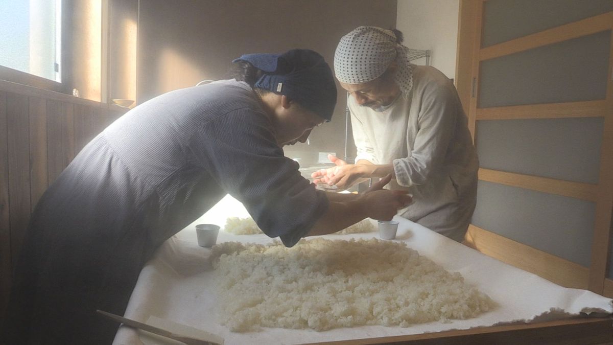 昔ながらの米こうじ作り 若狭町海士坂の米農家 2日間発酵させて仕上げ みそや甘酒の材料に