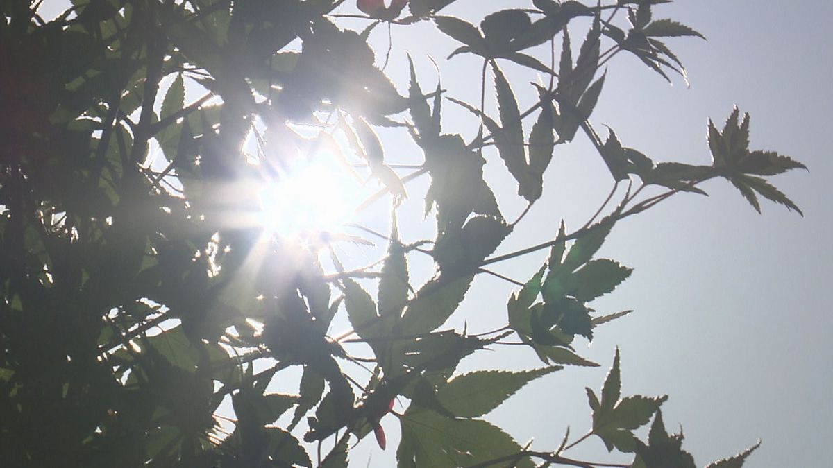 県内は午前中から“真夏日” 今年1番の暑さに 熱中症に注意を 福井で32度予想
