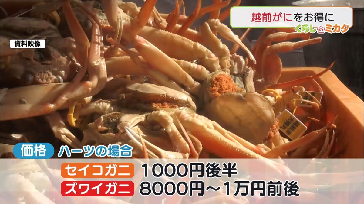 2ページ目 「越前がに」まもなく漁解禁 漁師が教える