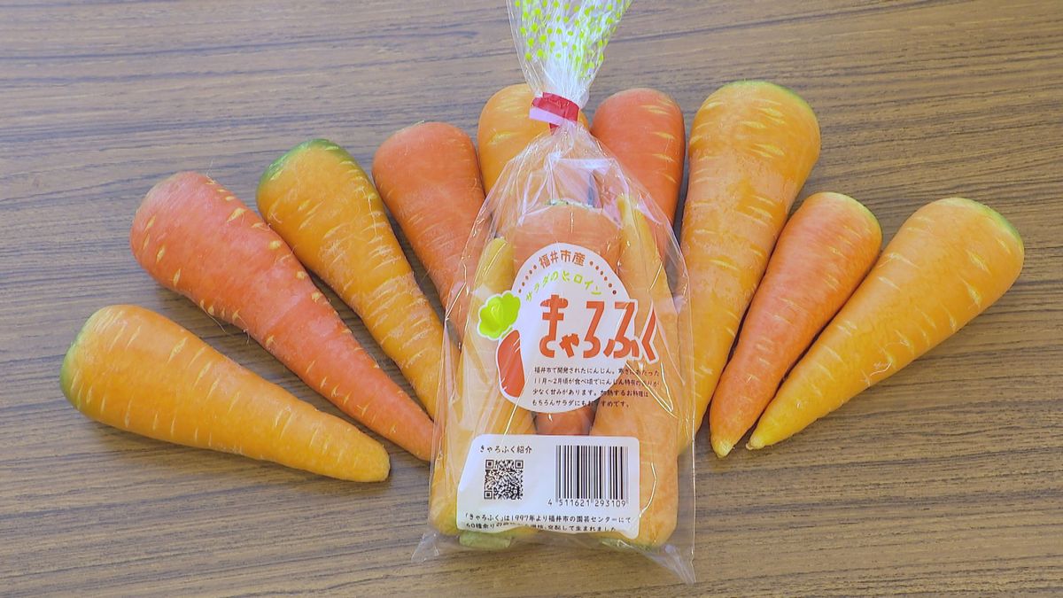 赤ちゃんに「きゃろふく」を　福井市特産のカラフルなニンジン　甘くて栄養価も高い　離乳食教室で保護者に配布