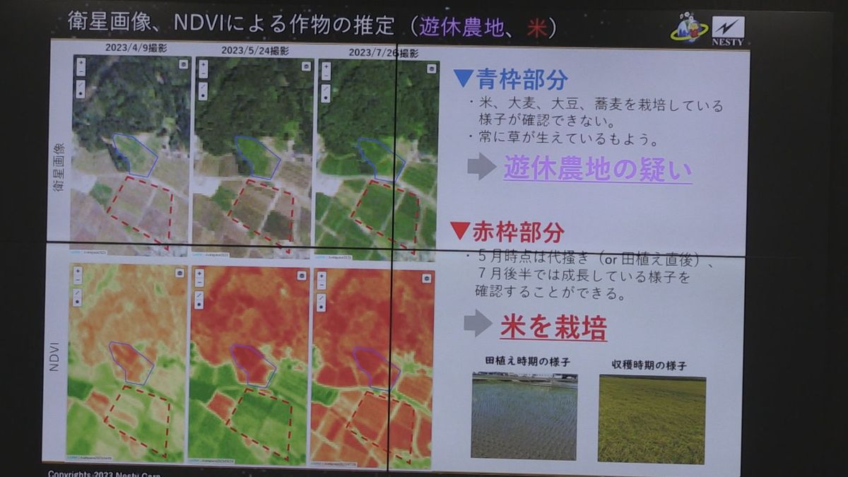 耕作放棄地をAIで確認 県民衛星の画像データ活用 作業時間の大幅削減に 坂井市とIT企業が共同開発