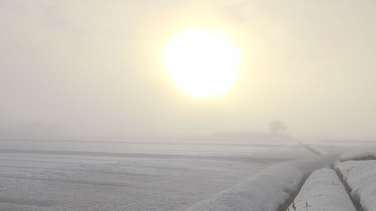 県内は平年を下回る寒さに 夜には嶺北で大気の状態不安定に 雨 雪が降りやすく