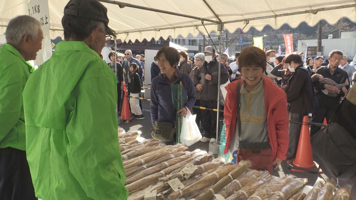 1000本以上の自然薯がずらり　おおい町名田庄でじねんじょ祭り