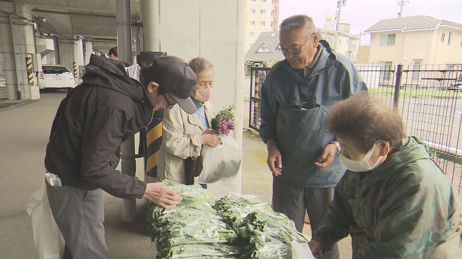 新幹線開業後も高架下で新鮮野菜を販売　農家や近所の人と会話も楽しみ　福井市で「あじさい市」始まる