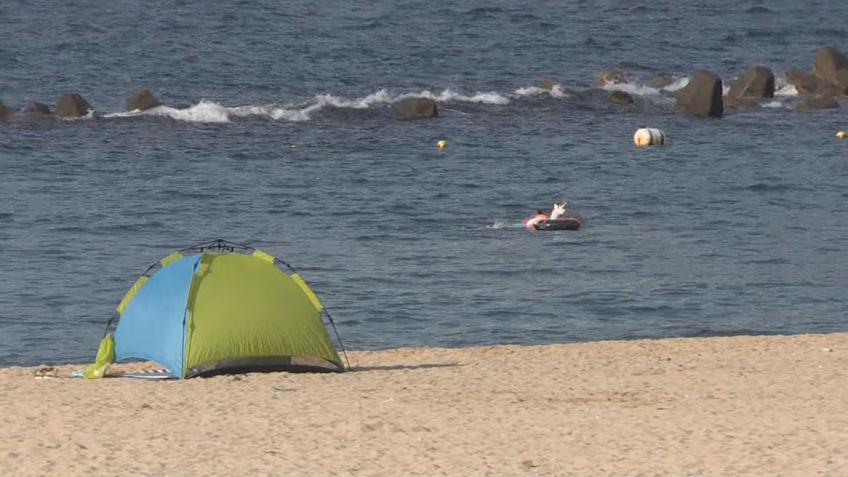 止まらないイルカによる被害　40代男性が手足かまれる　敦賀市･白木海水浴場　今シーズン県内13人目