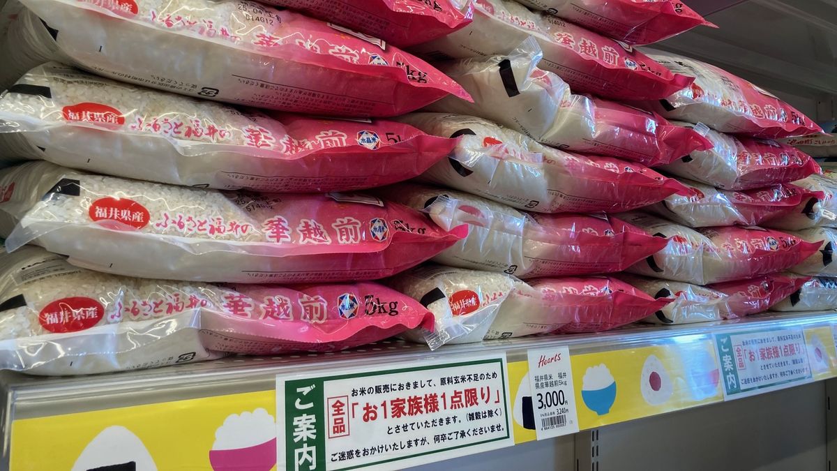 備蓄米、県内店頭に登場 価格は全国平均より2割安 5キロ3000円前半~半ば、県産ハナエチゼン 福井市・県民生協ハーツ