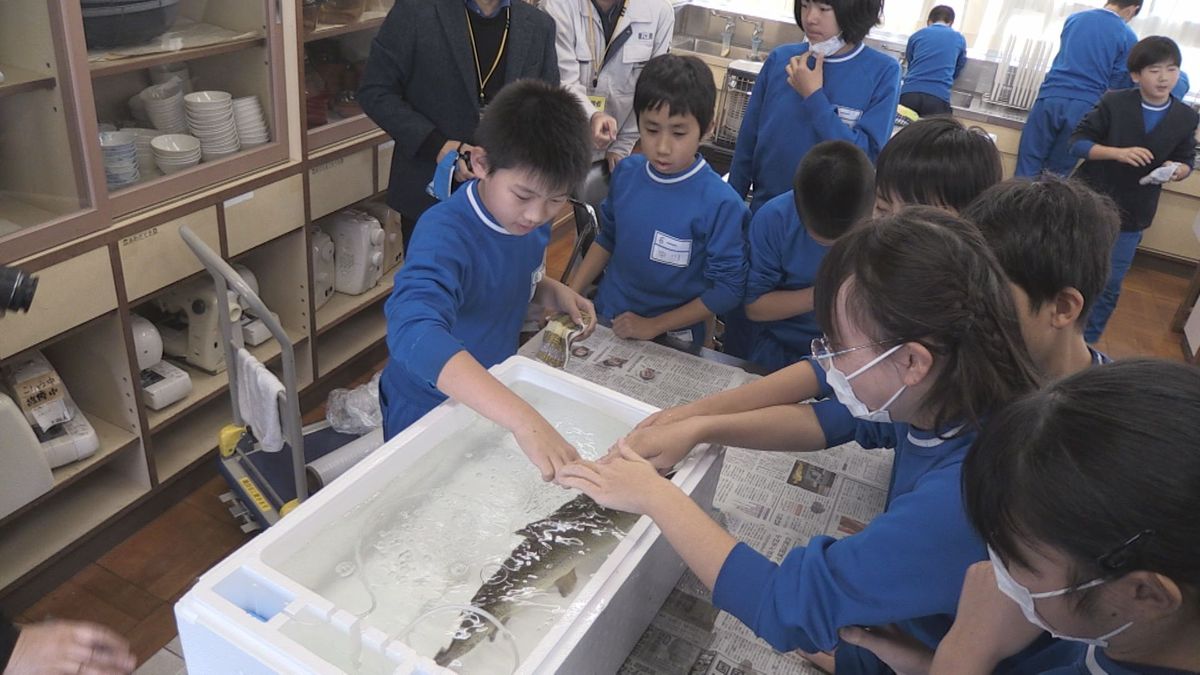 淡水で養殖する「ふくい名水サーモン」おいしさを知って 地元小学校で食育授業 揚げびたしをふるまう