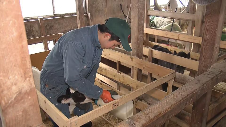 都市部の大学生が雪国大野で田舎暮らしを体験 牛の世話を手伝い今後の生き方見つめ直す