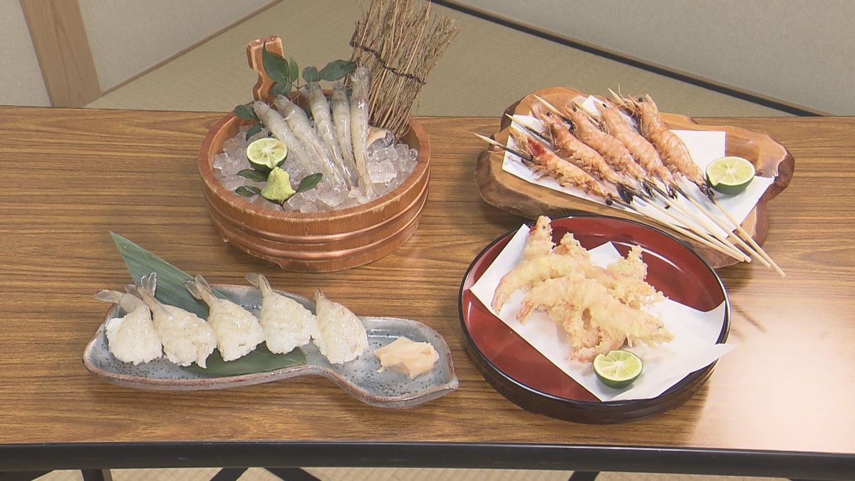 越前市の空き家を活用して養殖した「バナメイエビ」上品な甘みで歯ごたえ良し