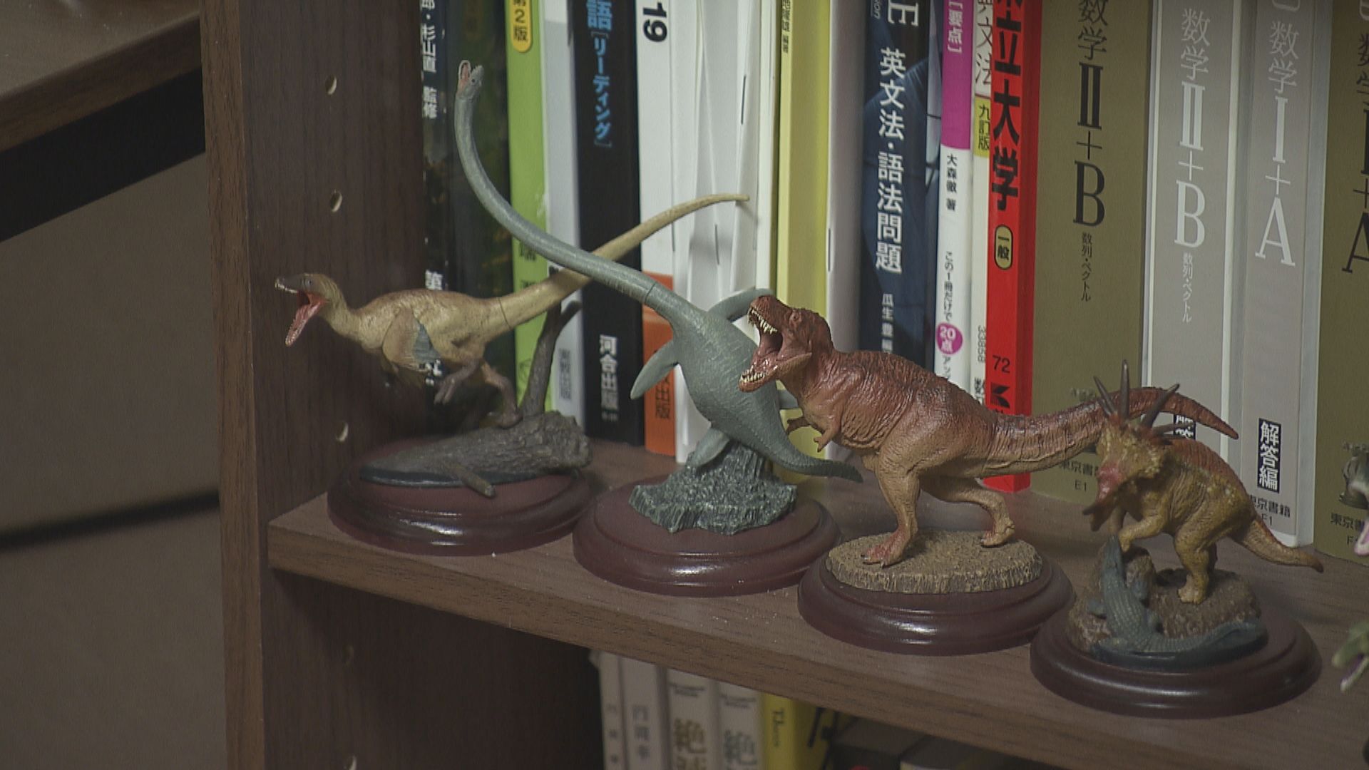 【特集】全国初の恐竜学部　一期生は筋金入りの恐竜好き　夢は