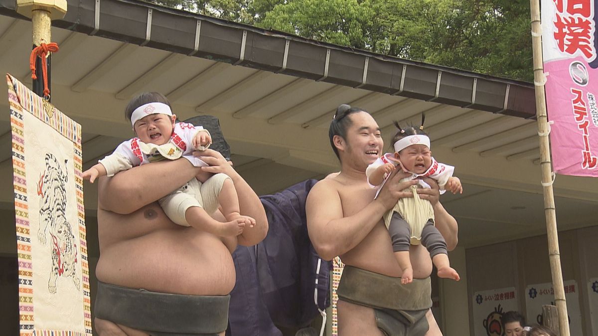 決まり手は「〇〇泣き」　神社で恒例の泣き相撲　赤ちゃん土俵入り、元気いっぱい泣く　福井県護国神社