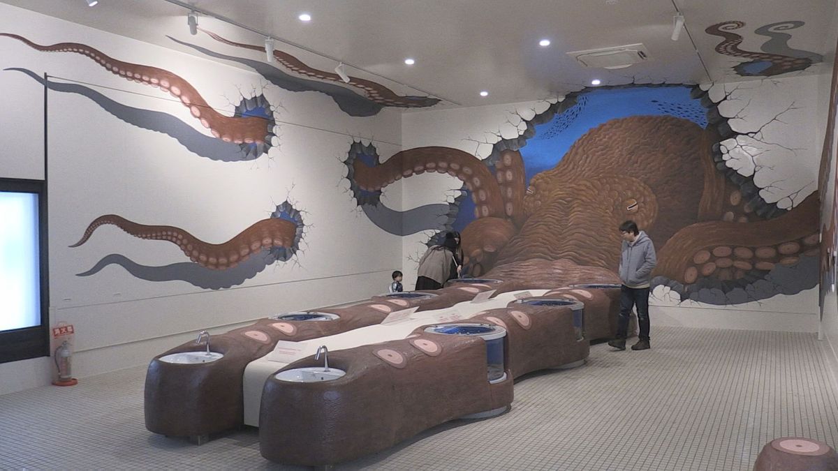 「みずだこ館」オープン　特化型の展示施設は全国初　実際に触れて楽しめる　越前松島水族館