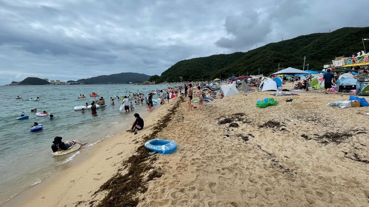 【速報】イルカにかまれる被害　20代の男性2人負傷　美浜町･水晶浜海水浴場