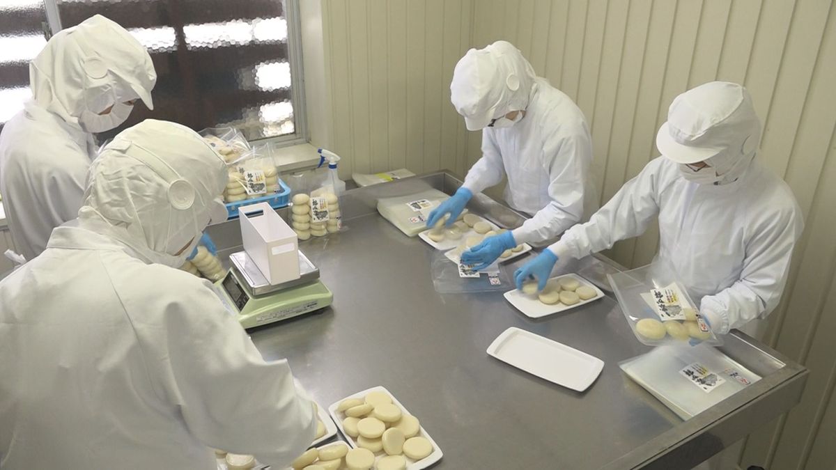 丸餅づくりピーク 正月向けに50万個製造 煮崩れしにくく雑煮や鍋に 大野市・吉村甘露堂