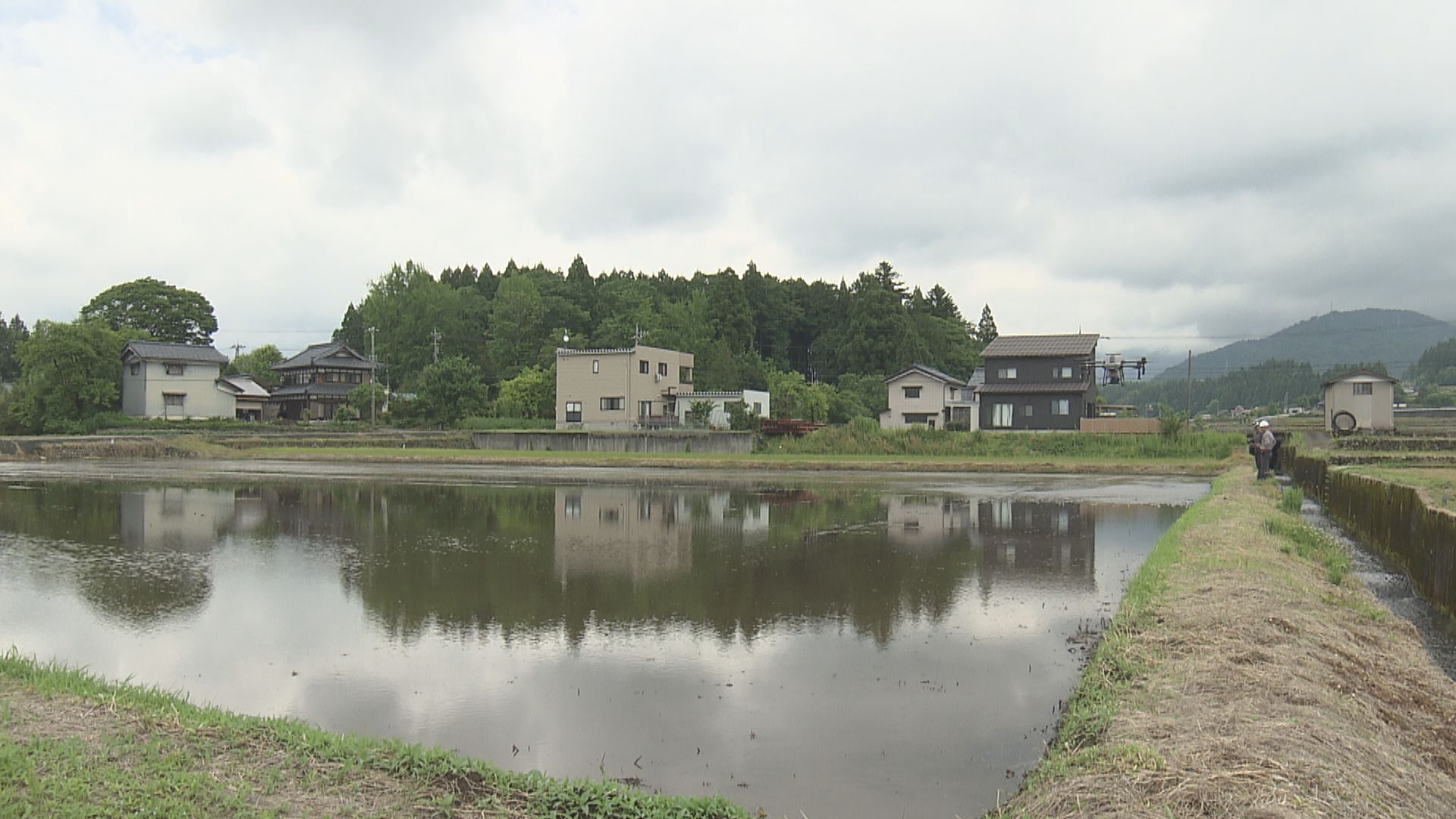 水田に直接種もみまく「直播き」をドローンで　負担軽減でコメ栽培面積の拡大へ　農家の高齢化をサポート　