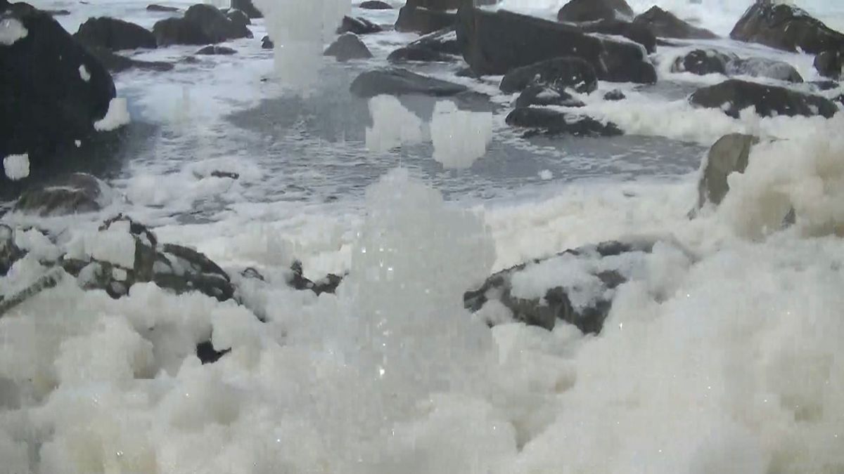 強風にのってふわふわと 越前海岸に「波の花」が出現 極寒の海の風物詩