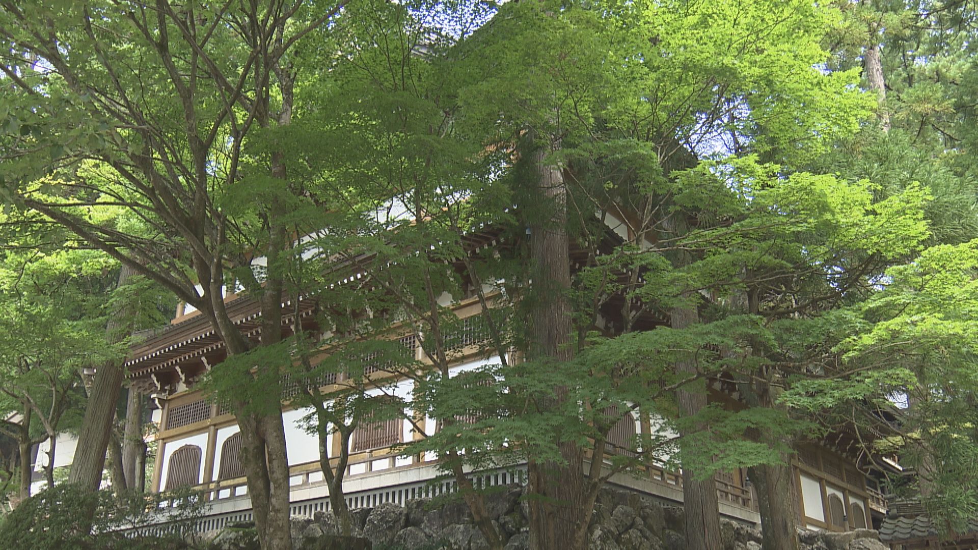 修行僧 禅寺「永平寺」の修行僧が女子高校生14人にわいせつ行為 入室