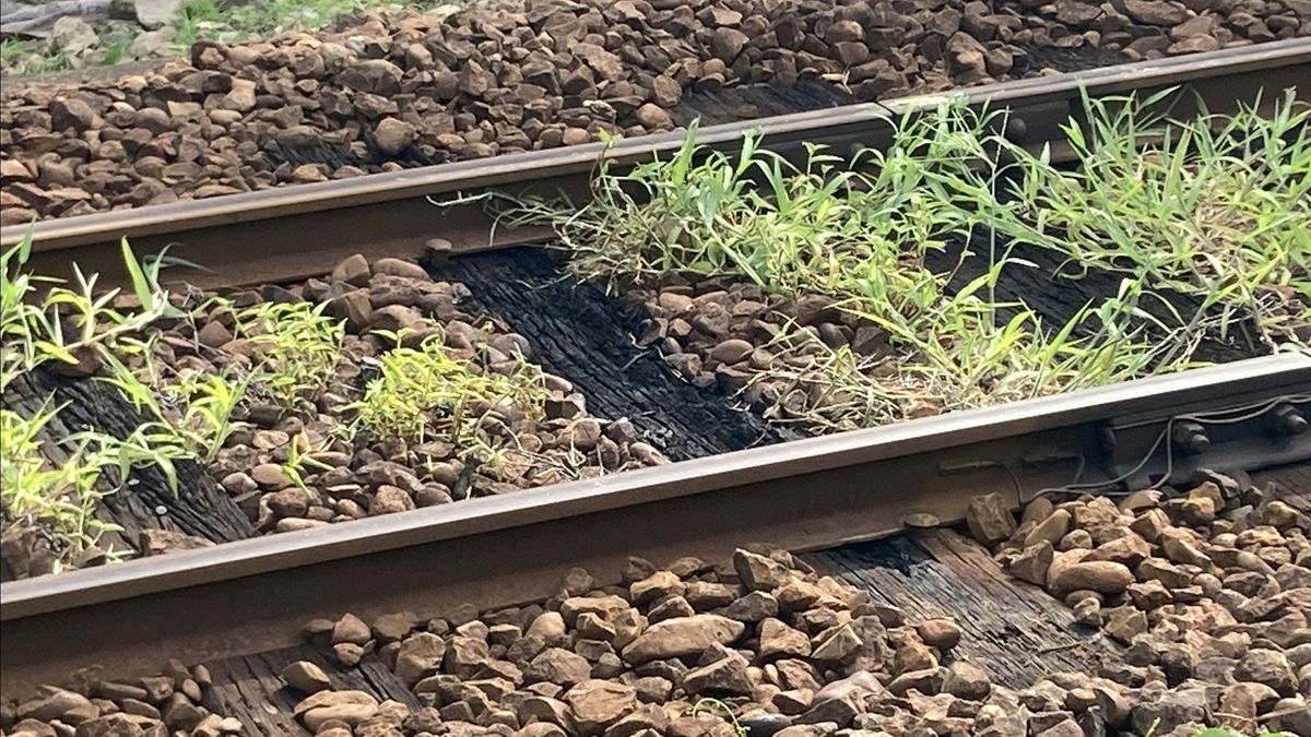 JR越美北線の枕木から煙 近隣住民から通報 越前高田駅・市波駅間 ケガ人や列車の遅れなし 太陽光集中し高温になったことが原因か（2026年8月 ...