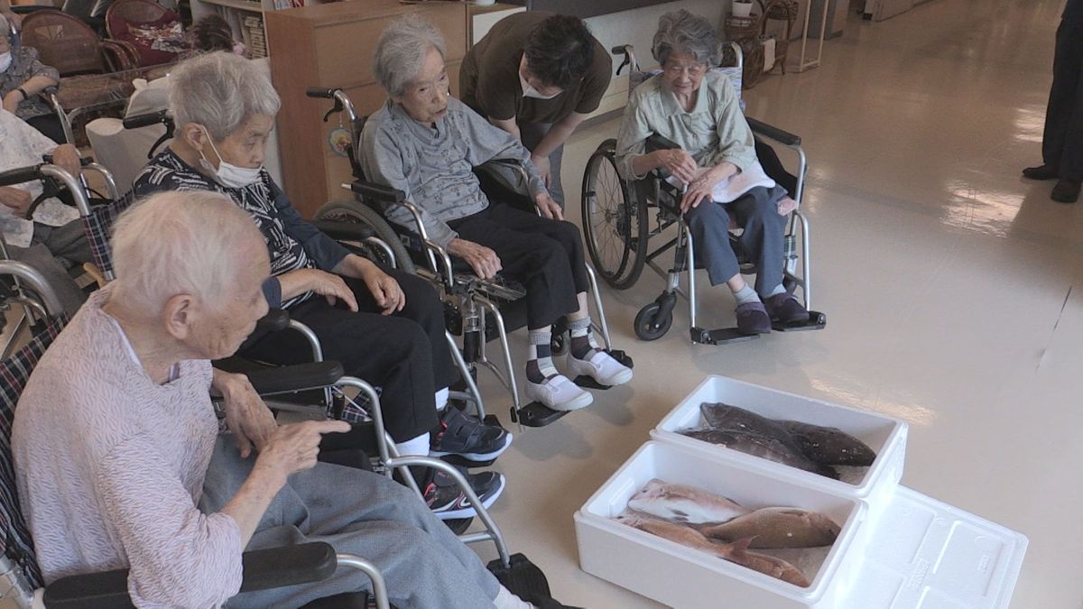 煮付けや鯛めしに　介護施設へ若狭湾のマダイと高級魚マハタを贈る　9月は敬老月間