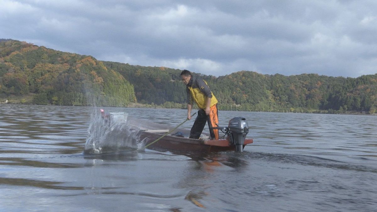 伝統の「たたき網漁」始まる　青竹で湖面たたいて魚驚かす　コイやフナが刺し網に　若狭町･三方湖