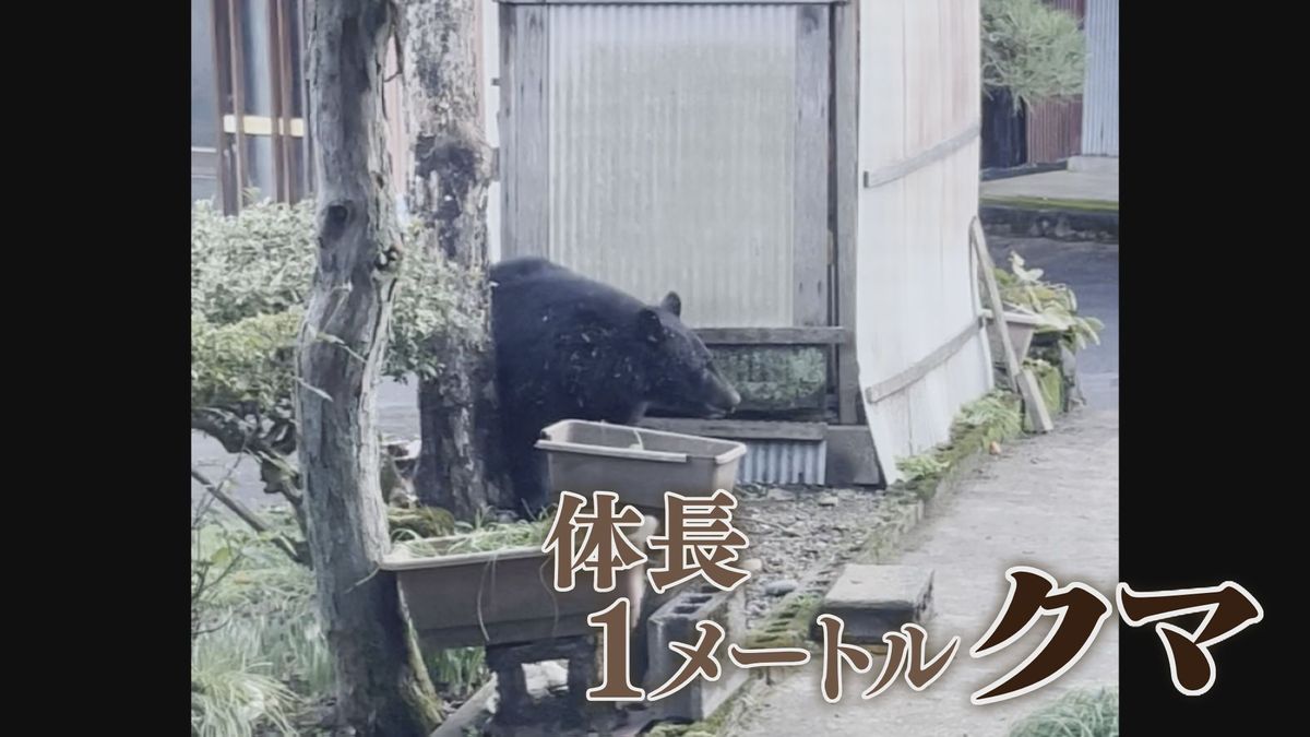 【恐怖】民家の庭先にクマ 3回も出没し6時間余り居座る 「もう家から外に出られない」 鯖江市･河和田地区