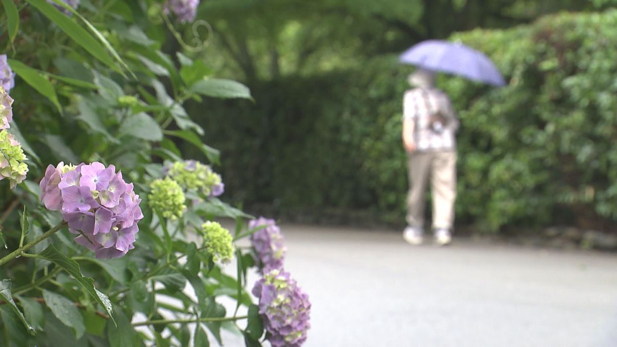 北陸地方「梅雨入り」　平年より1日早く　あす明け方まで"急な強い雨"に注意　新潟地方気象台