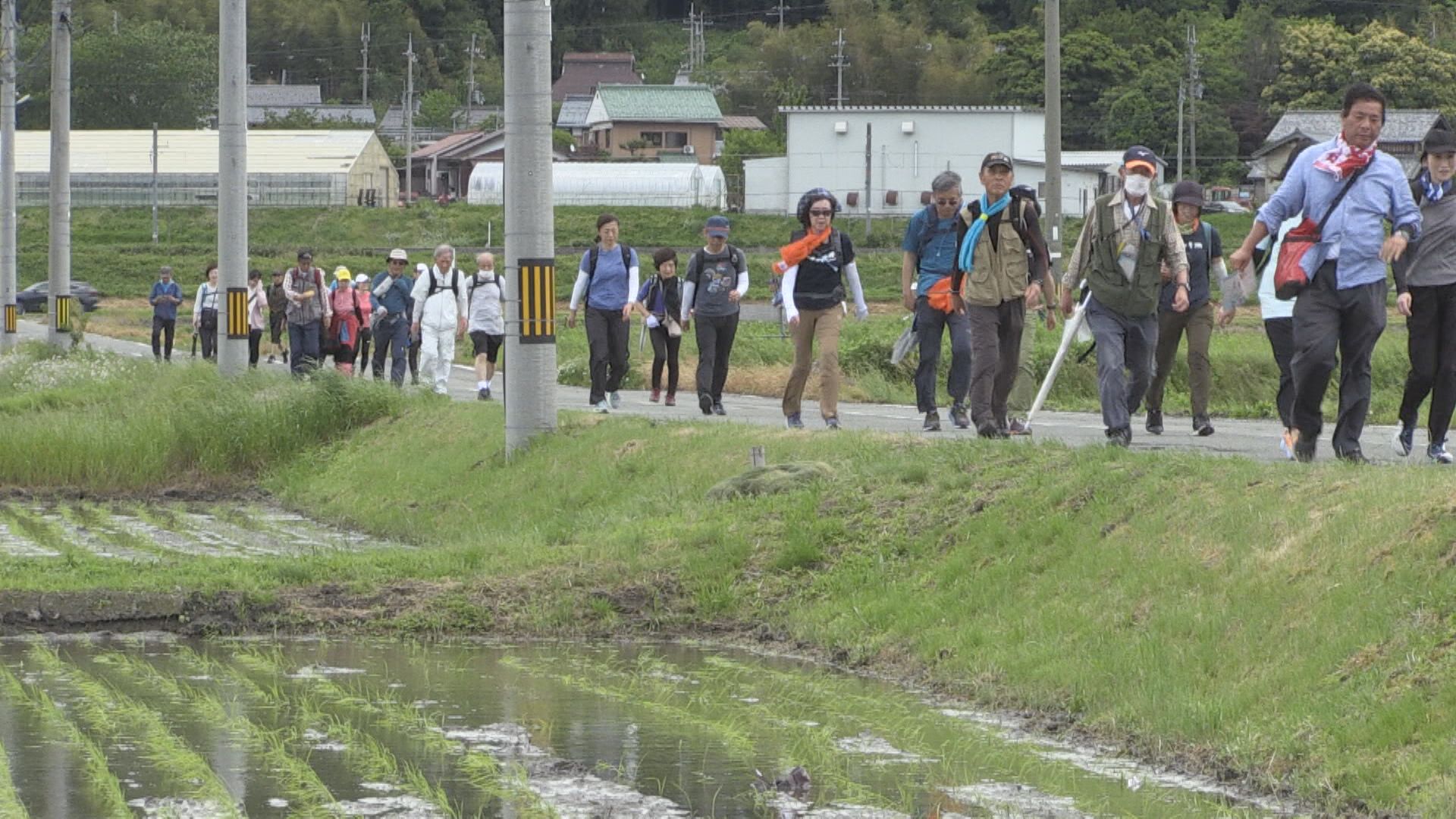 新緑の若狭路を巡る「若狭・三方五湖ツーデーマーチ」　参加者1664人　自然を満喫して心地よい汗流す