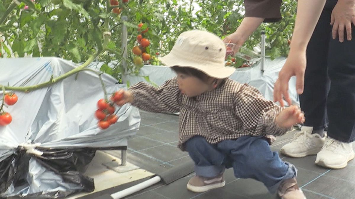 美浜町で多肉植物の寄せ植え体験イベント開催