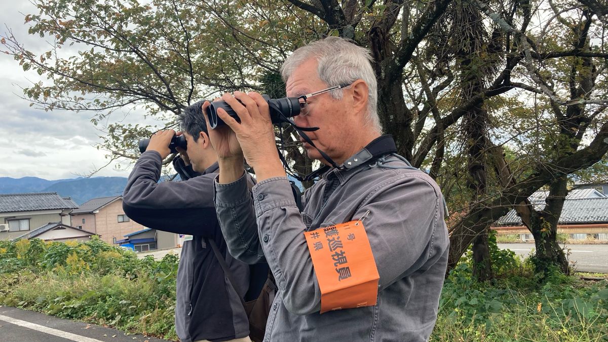 福井市で回収のハヤブサ　鳥インフルエンザの疑い　県は野鳥の監視地点を追加してパトロール強化へ