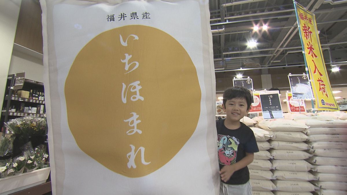 新米「いちほまれ」販売開始 店頭価格は過去最高額に 5キロで3,680円、JAグループ直売所 炊き上がりの艶感と優しい甘さが特徴