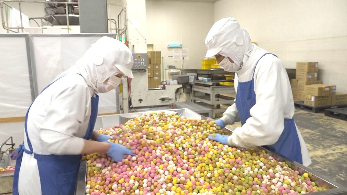 カラフルひなあられ 桃の節句を前に製造ピーク 天然の着色料で7色に仕上げ 大野市の吉村甘露堂