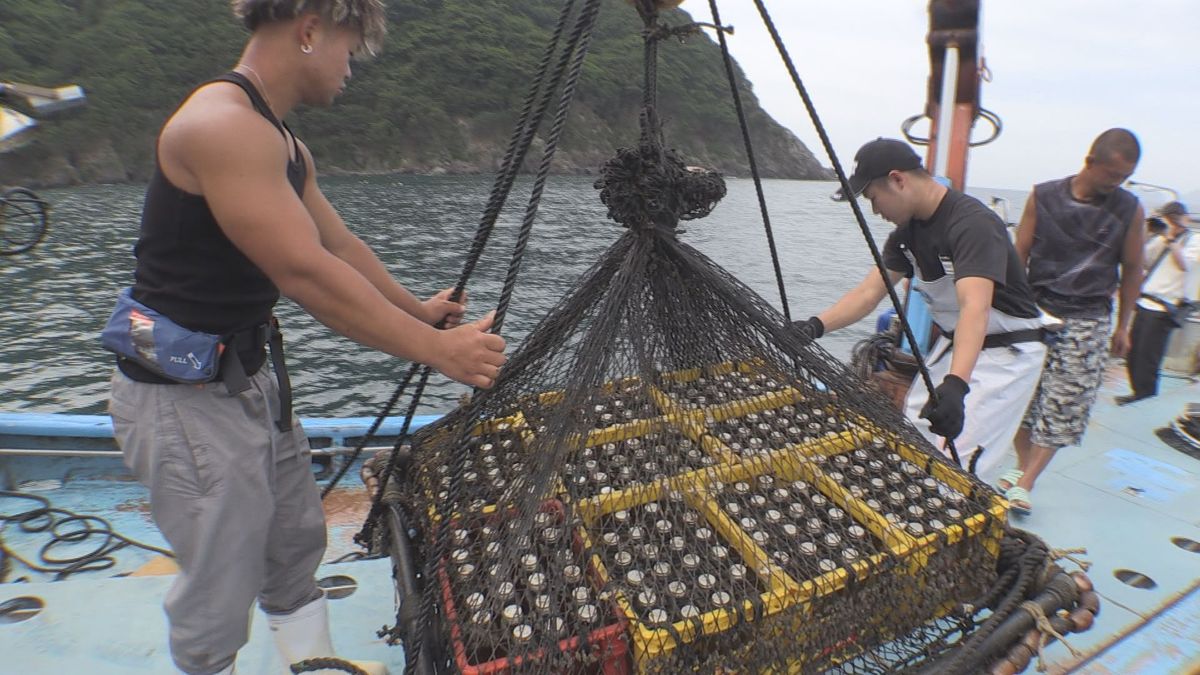 日本酒を海中で熟成 味がまろやかに 差別化商品目指す 福井県小浜市の酒造会社