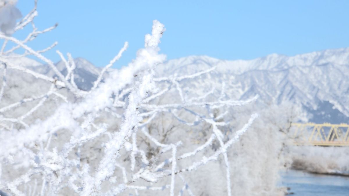 -9.2度の大野で「霧氷」幻想的な白銀の世界に　県内6地点で今季最低気温を記録