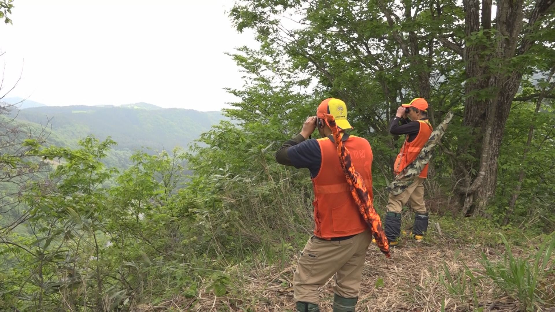 人里出没のクマ警戒　「春季銃猟」被害の未然防止に　