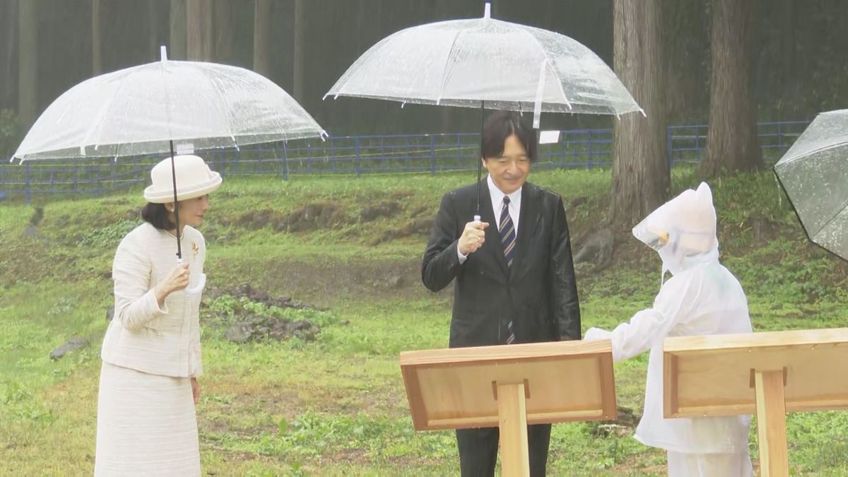 県内で44年ぶりの全国育樹祭 秋篠宮ご夫妻が上皇ご夫妻植樹のアカマツなどお手入れ