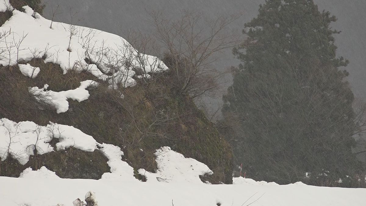 10日にかけて冬型強まる　嶺北の山地を中心に大雪に　交通障害などに注意･警戒を　降雪量予想、8日夕方までに奥越で70センチ