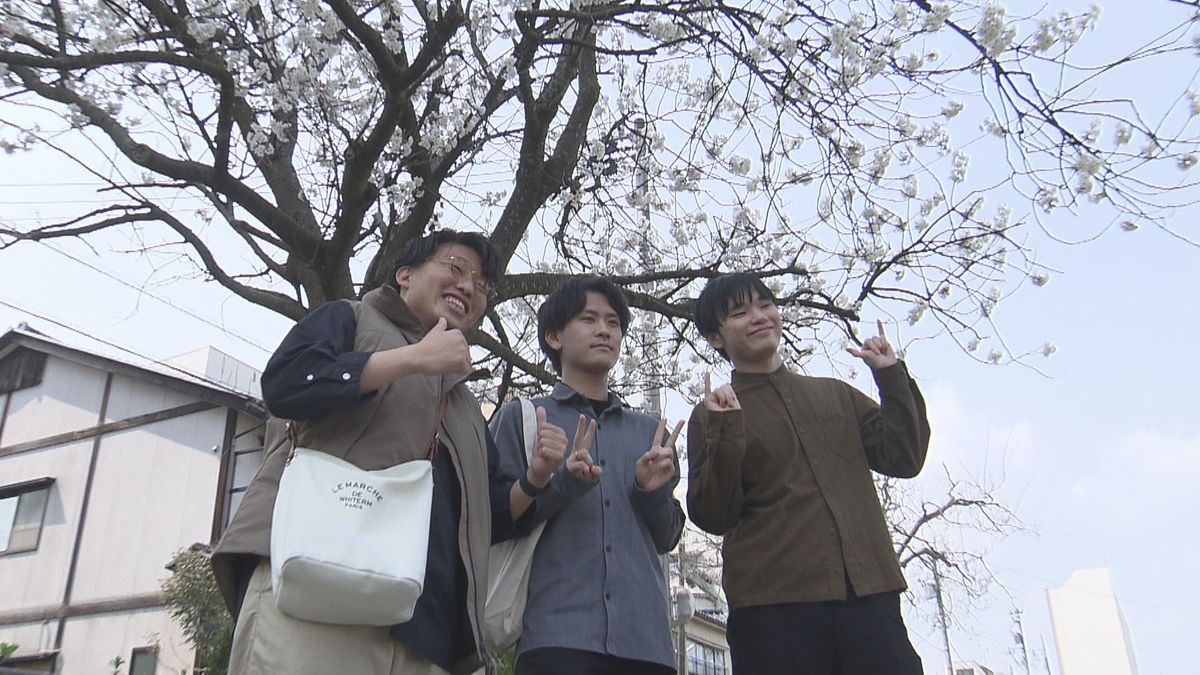 福井市内で早咲きのサクラが満開に 黄砂が飛来する中 花見シーズンに向け準備進む