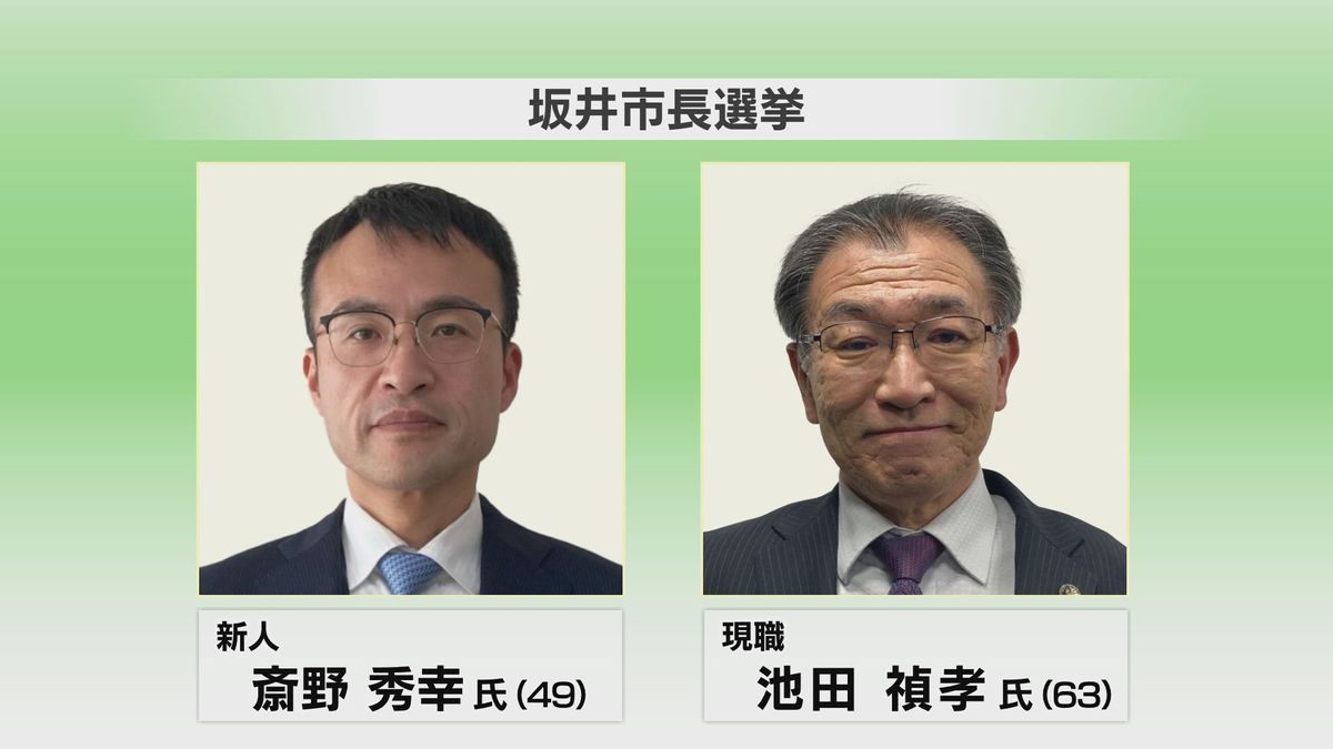 坂井 市長 選挙