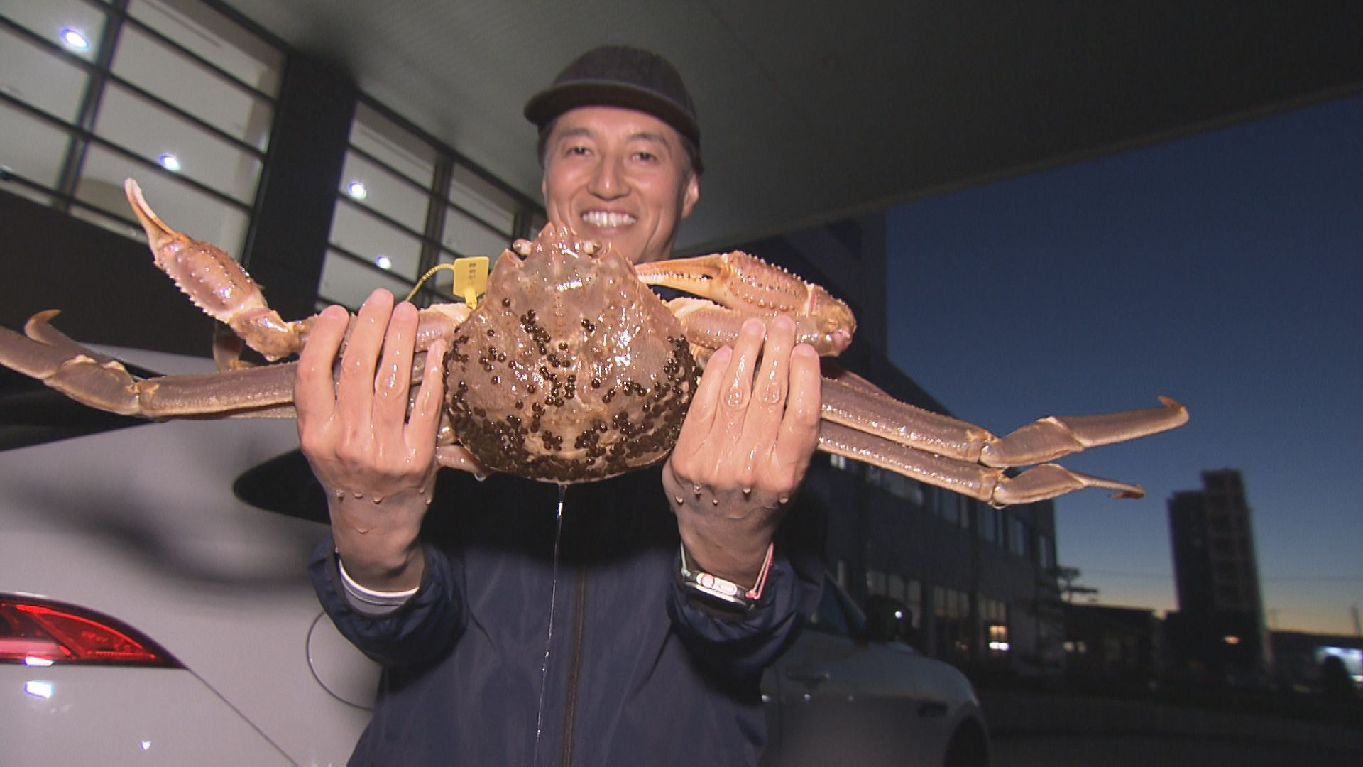 今シーズン第一号「極」 落札額は150万円 越前がに最高級ブランド 重